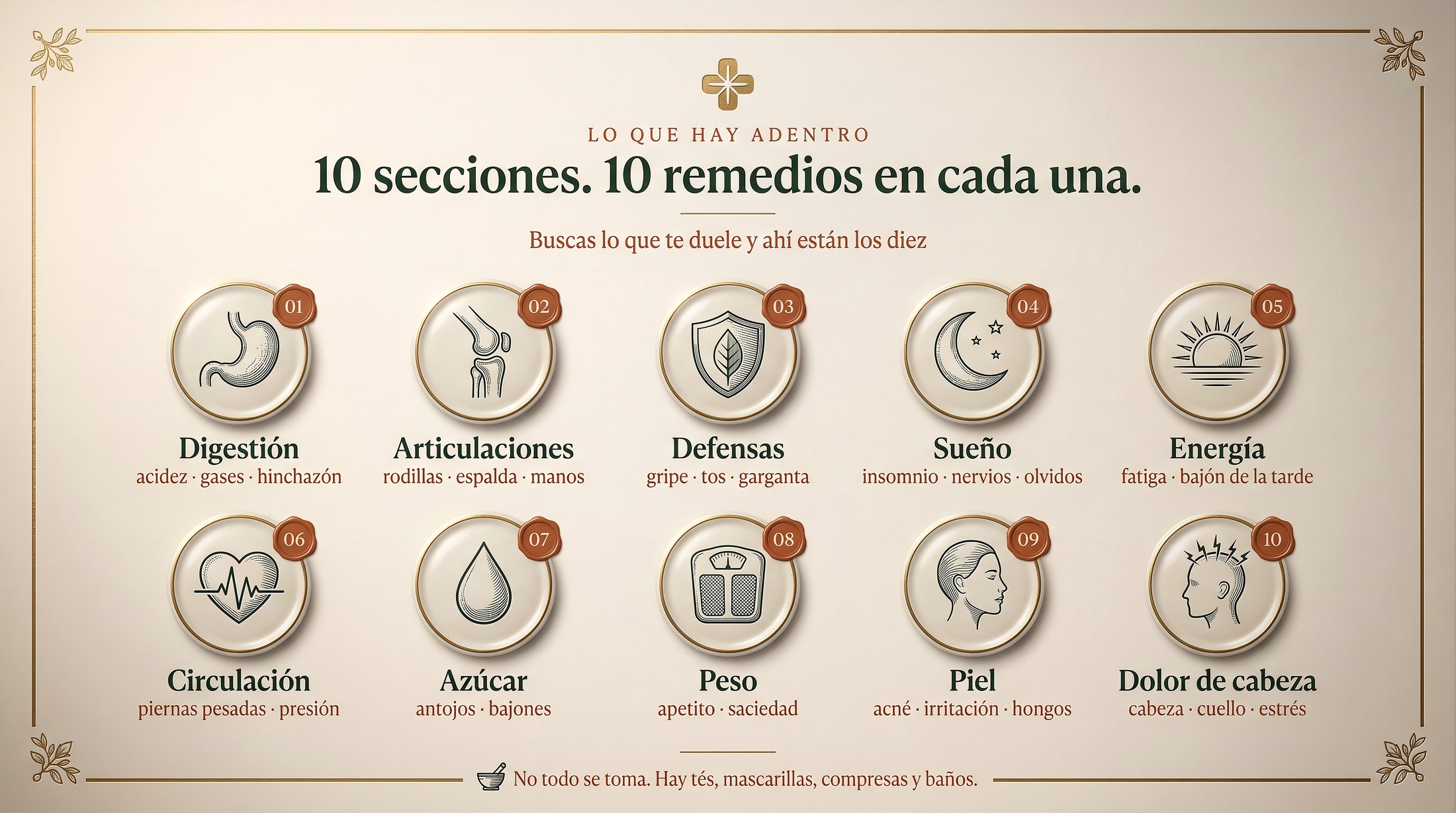 Lo que hay adentro: las 10 secciones del libro, con los síntomas que cubre cada una